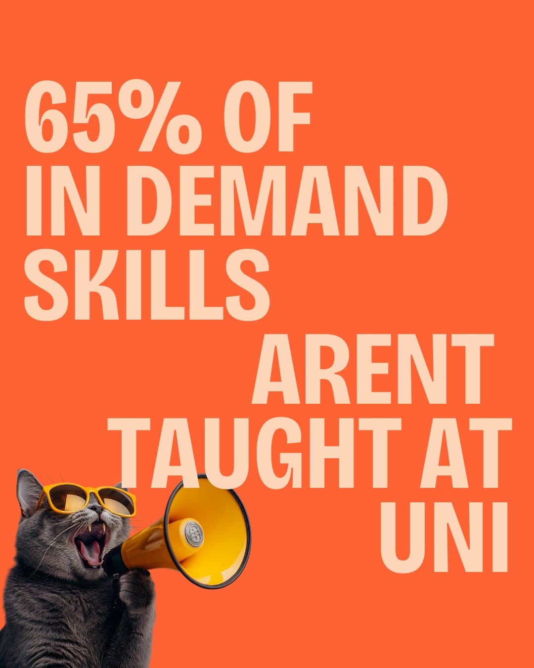 A CS Degree Won't Save You